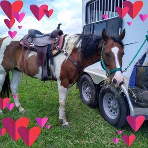 Meet your Posher, Barbara